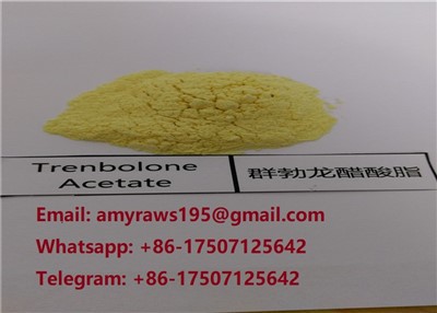 Anabolic Tren Ace Prášok