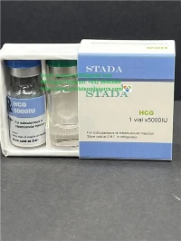 Vysoká kvalita HCG 5000iu STADA US Vnútroštátna preprava 5-7dní